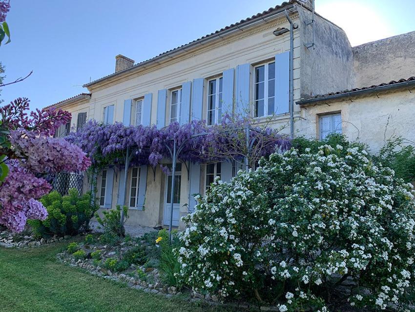 Maison Jeroboam Сант- Эстеф Номер фото